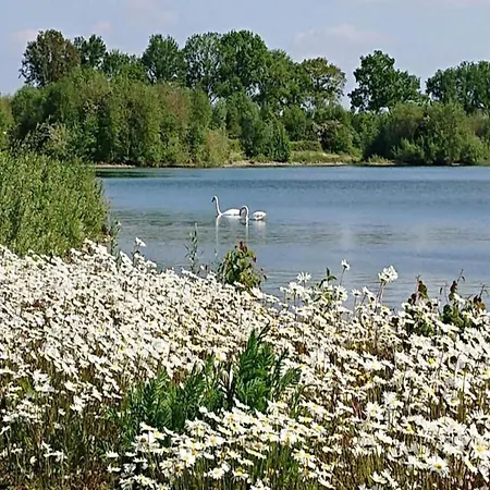 Feriehus With Garden Plasmolen