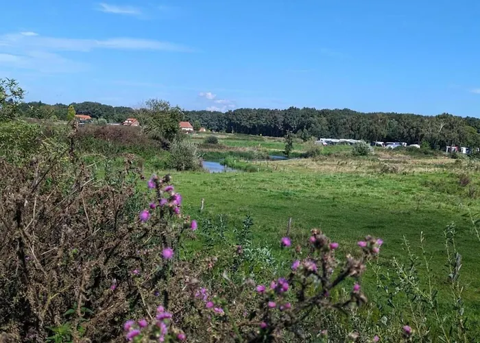 Сasa de vacaciones With Garden Plasmolen