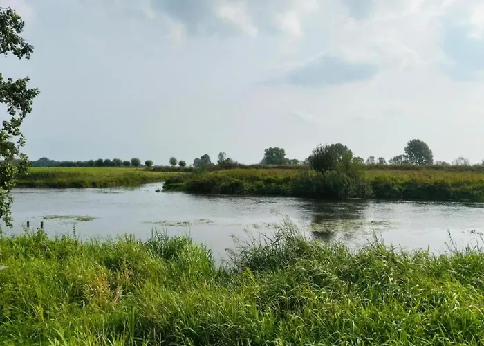 With Garden Plasmolen