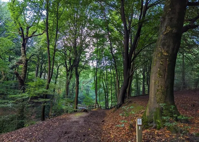 Сasa de vacaciones With Garden Plasmolen