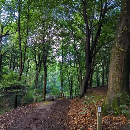 Prázdninový dům With Garden Plasmolen