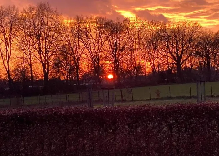 펜션 With Garden *